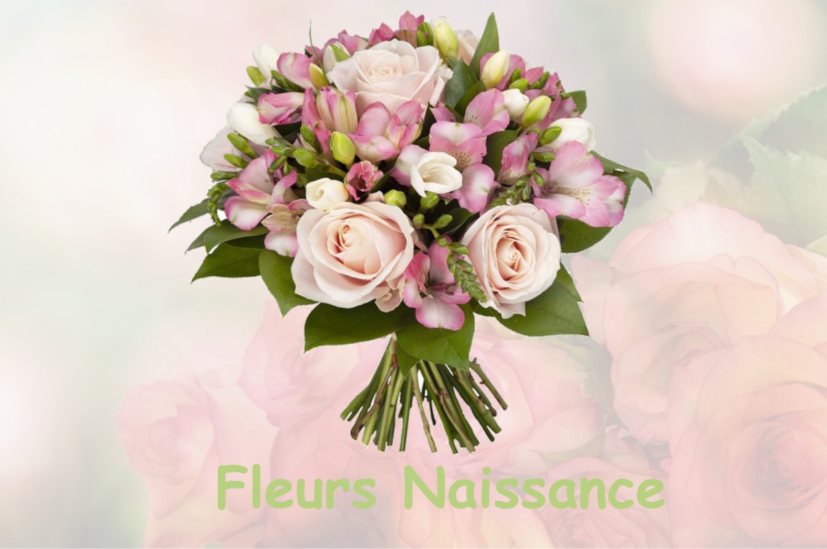 fleurs naissance HAIRONVILLE