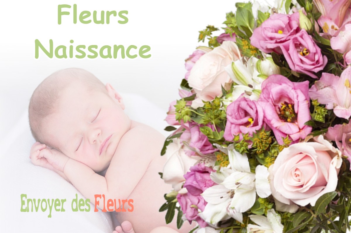 lIVRAISON FLEURS NAISSANCE à HAIRONVILLE